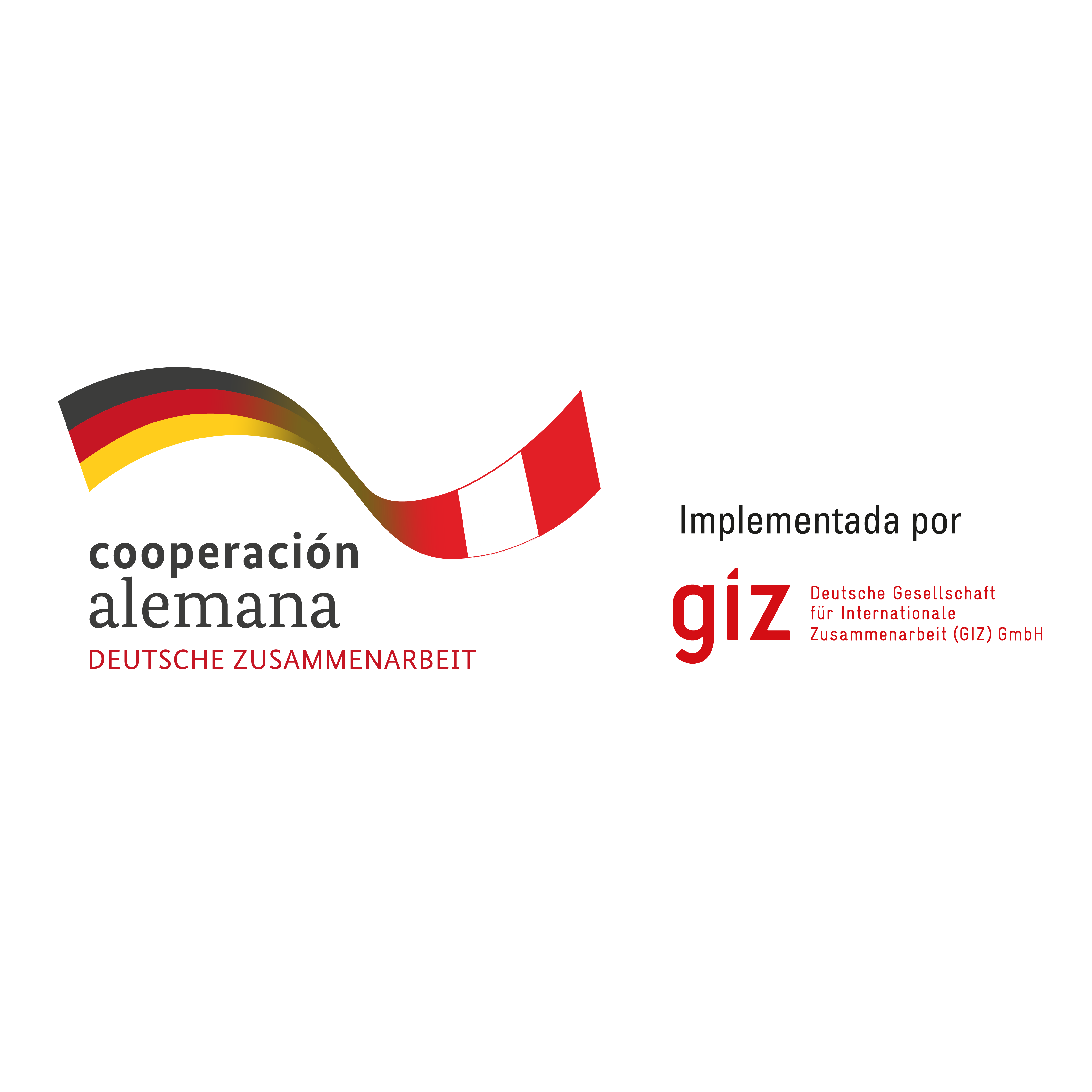 Cooperación Alemana (GIZ)
